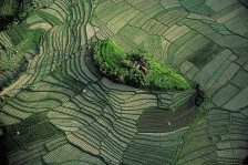 Earth From Above