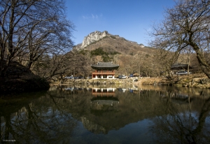 장성 백양사 : 전라남도 장성군 북하면 백양로 1239(약수리 26)