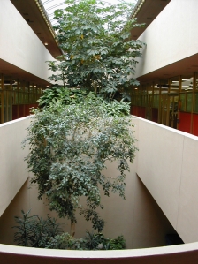 marin civic center