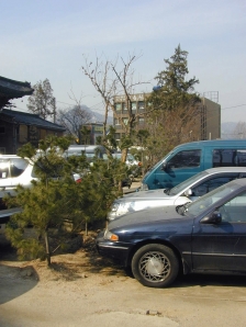 조계사