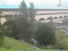 marin civic center