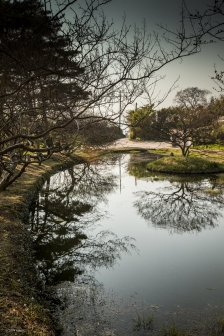 담양 명옥헌원림 : 전라남도 담양군 고서면 산덕리 511