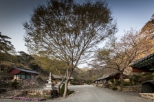 의성 고운사 : 경상북도 의성군 단촌면 구계리 116