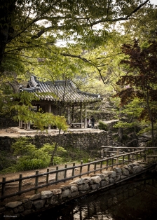 담양 소쇄원 : 전라남도 담양군 남면 지곡리 123